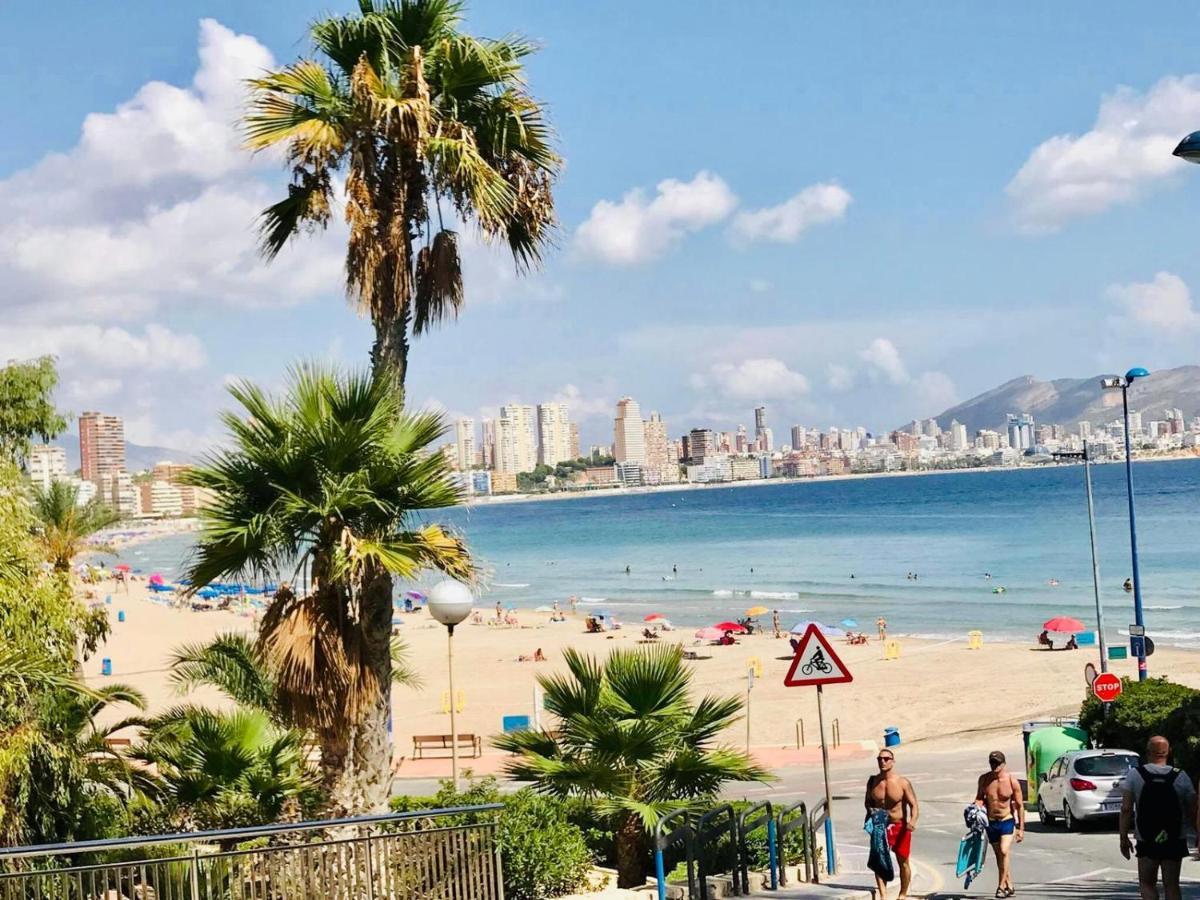 Magic Studio With Swimming Pool Benidorm Eksteriør bilde