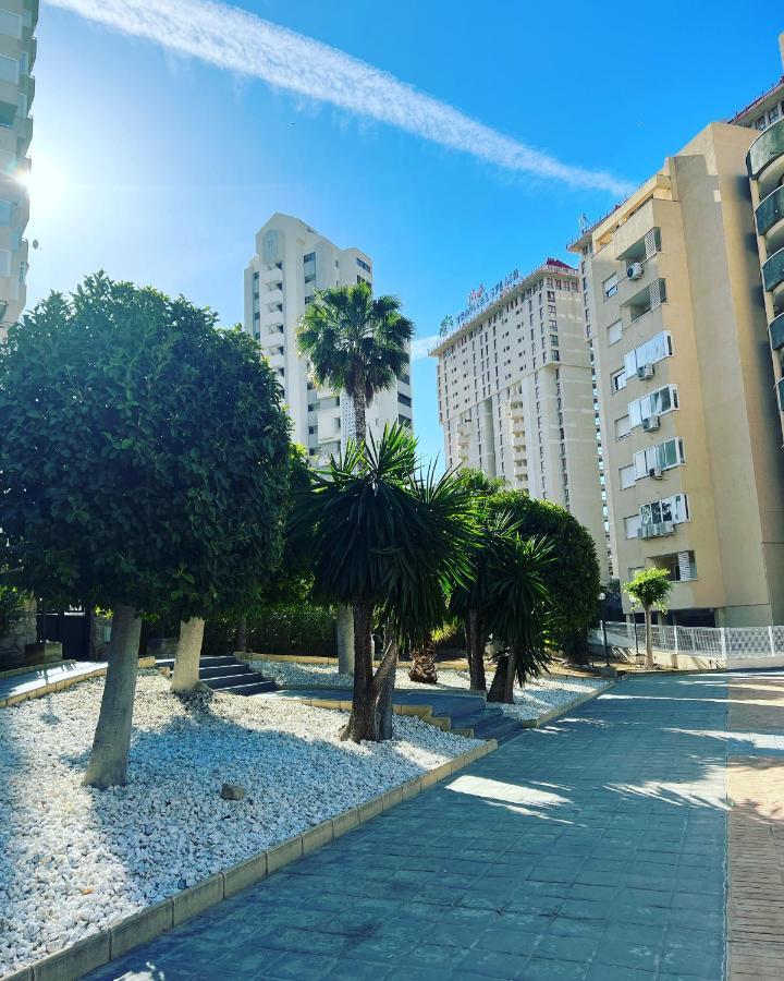 Magic Studio With Swimming Pool Benidorm Eksteriør bilde